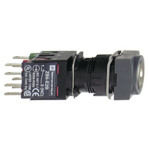 Schneider Electric XB6CGH5B Turkey