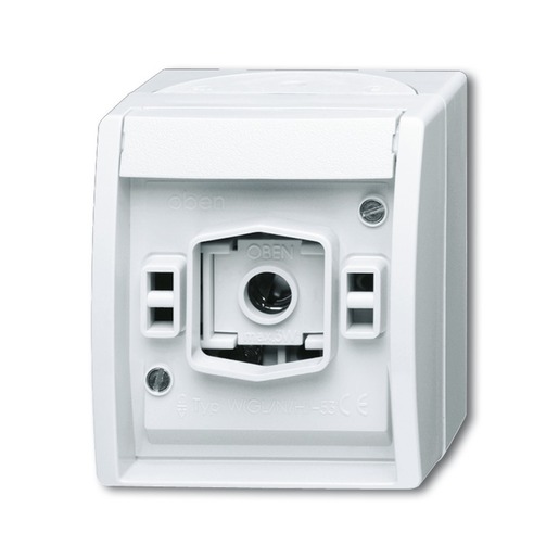 Busch-Jaeger 2661 W-54 Turkey