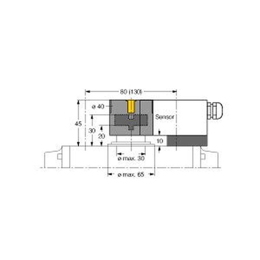 Turck BTS-DSU35-Z01 Turkey