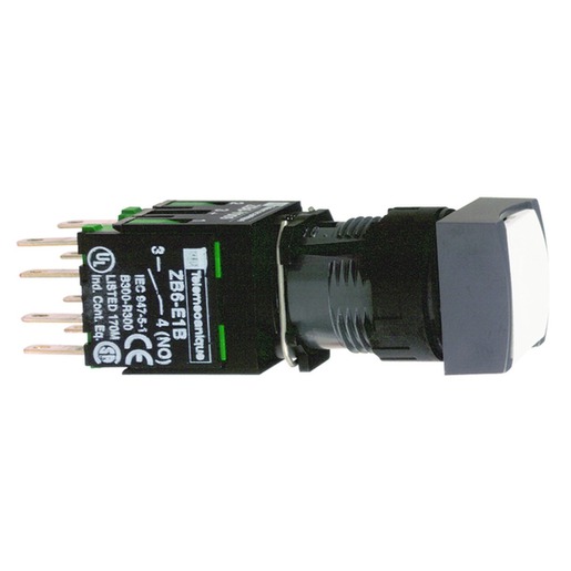 Schneider Electric XB6CA11B Turkey