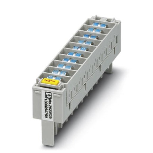 Phoenix Contact CT 10-2/2-GS/3E-110AC Turkey