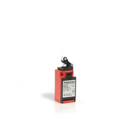 Bernstein I88-UV1Z HW RO11 Turkey
