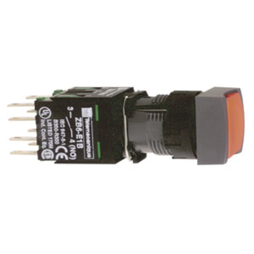 Schneider Electric XB6CA45B Turkey