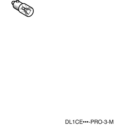 Schneider Electric DL1CE012 Turkey