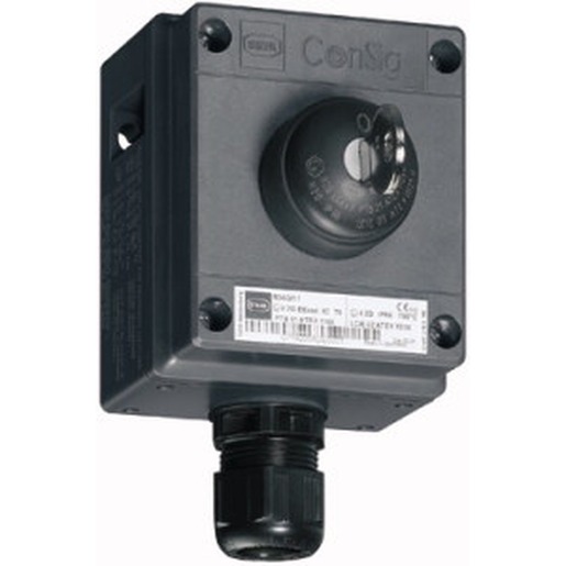 Stahl Schaltgeräte 8040/1180X-08M01SA05 Turkey