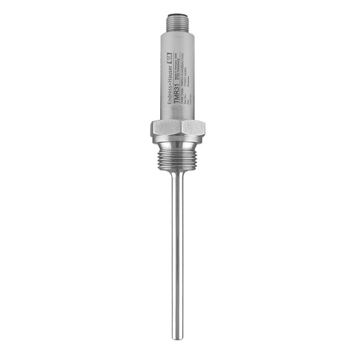 Endress + Hauser TMR31-A11BBBAX1AAA Turkey