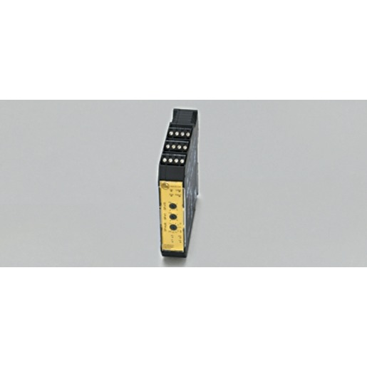 Ifm Electronic Safety speed monitor Turkey