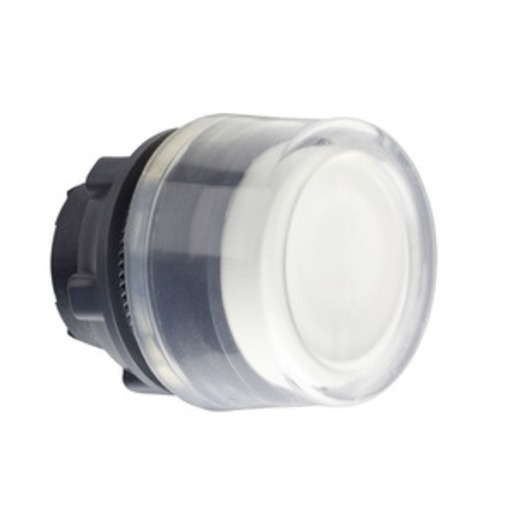 Schneider Electric ZB5AP183 Turkey