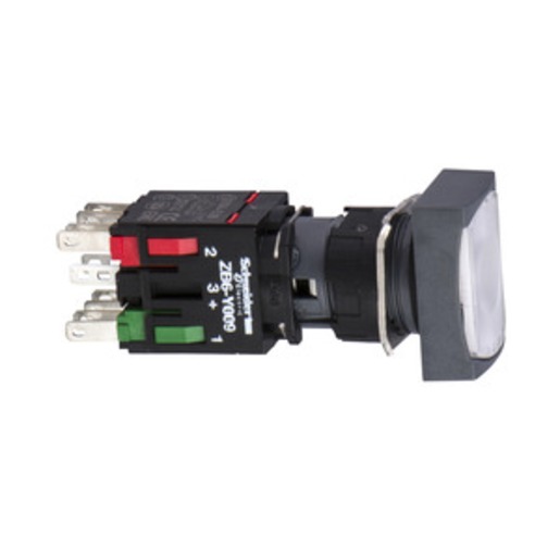 Schneider Electric XB6DW1B1B Turkey