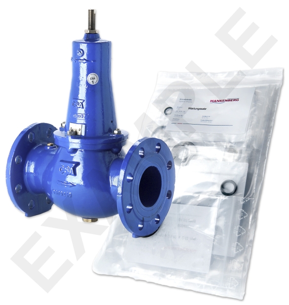 Mankenberg 6644111A WS Maintenance Kit for VRCD (DM 644) | DN 50 (2“) | Art Nr6644111A Turkey