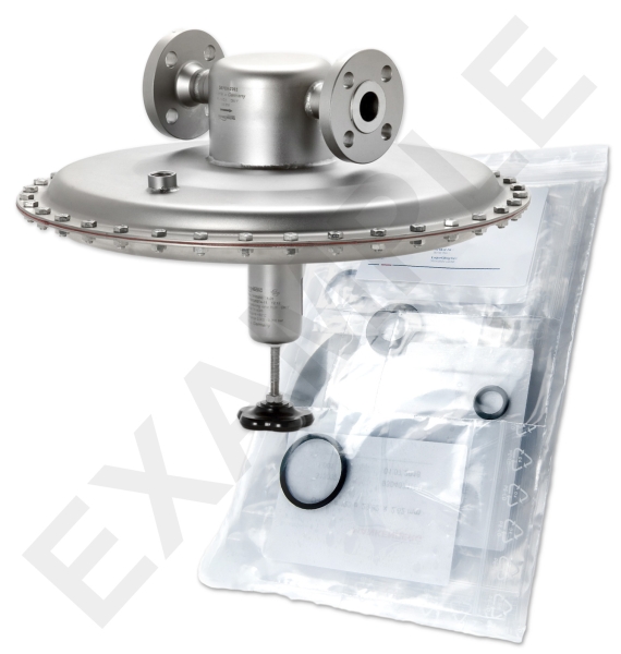 Mankenberg 6630191TA-44  WS Maintenance Kit WS/DM762-25-FA22-16-D028-0,4-V1-EE-N | Turkey