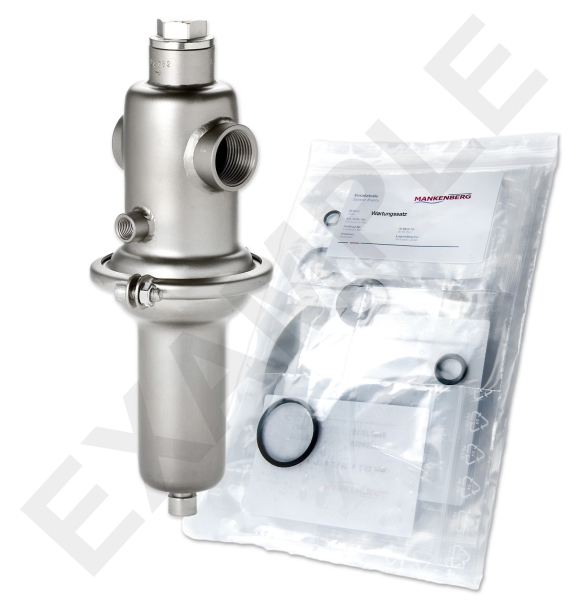 Mankenberg 6562036TA-3   WS Maintenance kit WS/DM652-25-FA04-40-D060-8-V1-FF-E66-E79  | Art-No Turkey
