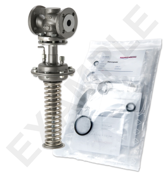 Mankenberg 65551666A-5   WS Maintenance Kit WS/DM613-65-FA11-16-D060-50-CS-EE-N | Turkey