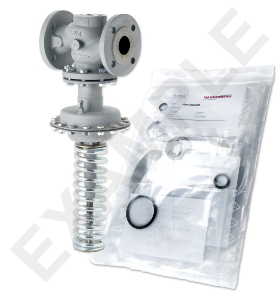 Mankenberg 65480663-E    WS Maintenance Kit WS/DM603  125    * 16  140E  -5YG | Turkey