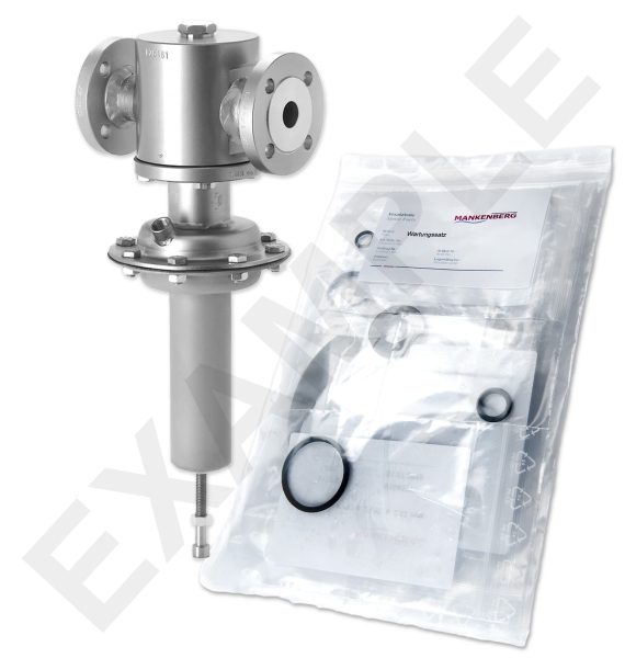 Mankenberg 6527145UA-101 WS Maintenance Kit WS/DM512-25-FA25-40-D058-3,9-V1-YC-E70-E80 | Turkey