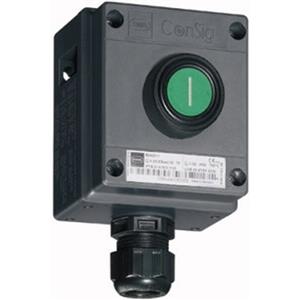 Stahl Schaltgeräte 8040/1180X-01L50SA05