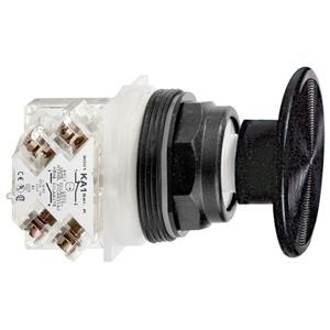Schneider Electric 9001SKR25BH13 Turkey