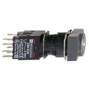 Schneider Electric XB6DGC5B