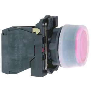 Schneider Electric XB5AP42 Turkey