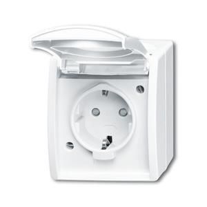 Busch-Jaeger 20 EBW-54