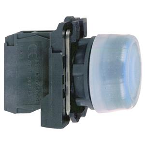 Schneider Electric XB5AP61