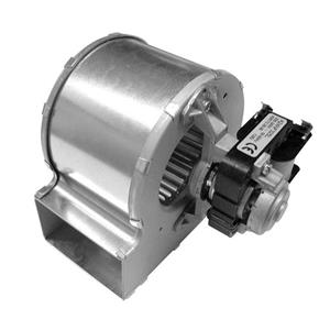 Dimplex RL 15RF Turkey