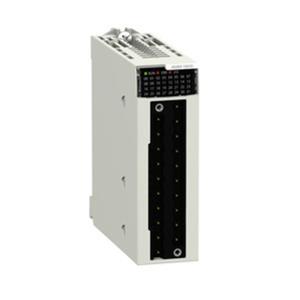Schneider Electric BMXAMM0600 Turkey