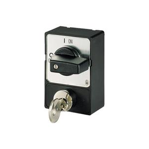 Eaton Electric SVA-T3 Turkey