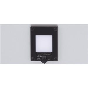 Ifm Electronic BACKLIGHT 50X50 RED Turkey