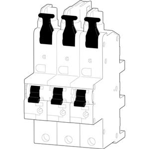 ABN Braun XKS335-5 Turkey