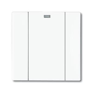 Busch-Jaeger 6125-84-101