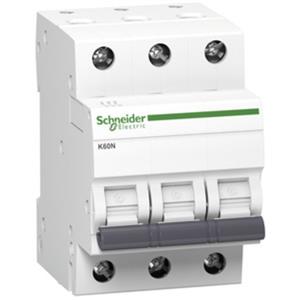 Schneider Electric A9K01310