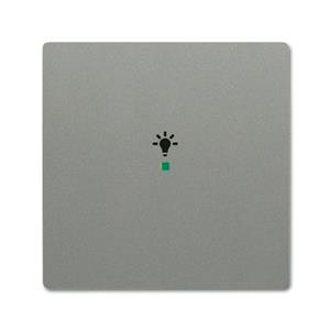 Busch-Jaeger 6231-10-803