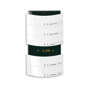 Busch-Jaeger 6321/58-24G