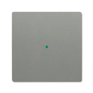 Busch-Jaeger 6230-10-803