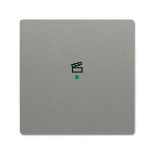 Busch-Jaeger 6233-10-803