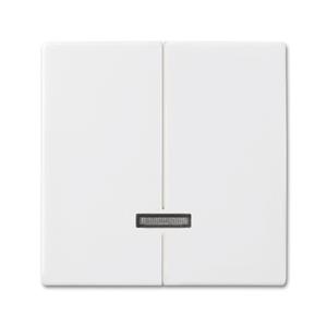 Busch-Jaeger 6545-914