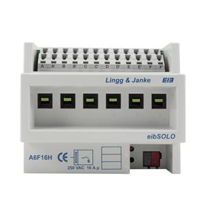 Lingg&Janke 89205 Turkey