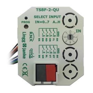 Lingg&Janke Q77882 Turkey