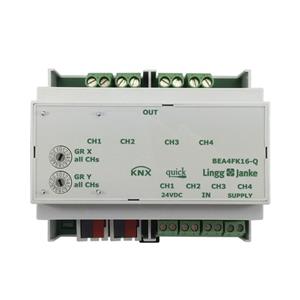 Lingg&Janke Q79243 Turkey