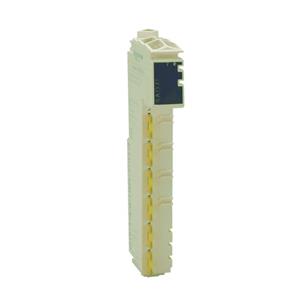 Schneider Electric TM5SAI4L Turkey