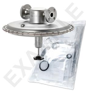 Mankenberg 6630202TA-8   WS Maintenance Kit WS/DM762-25-FA04-16-D018-0,9-V1-FN-N | Turkey