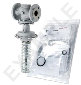 Mankenberg 65480663      WS Maintenance Kit WS/DM603  125    * 16  140C  -5YG |