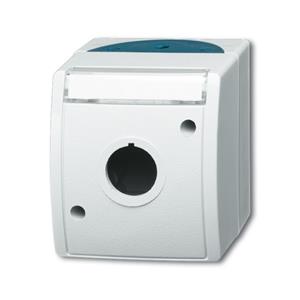 Busch-Jaeger 2533 WN-53