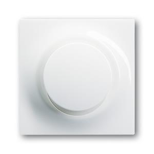 Busch-Jaeger 6543-74-101