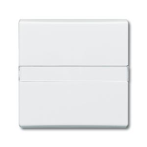Busch-Jaeger 2106 N-34