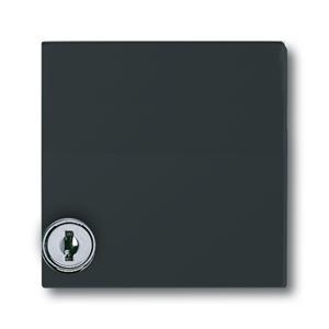 Busch-Jaeger 2118 GKSL-35