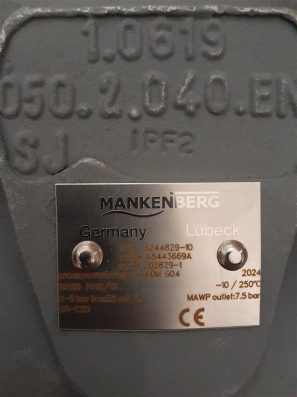 Mankenberg DM604-50-FA11-16-D060-32-CS-YE-N Basınç Düşürücü Vana_0 Turkey