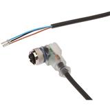 IPF Electronic VK200221