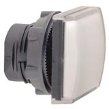 Schneider Electric ZB5CV013